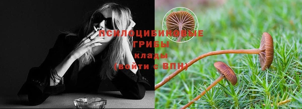 первитин Вязьма
