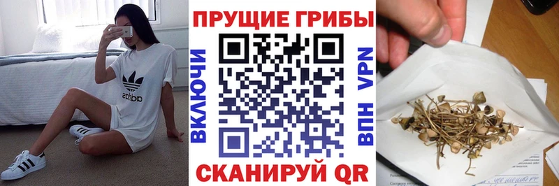 купить наркотики сайты  Ипатово  Псилоцибиновые грибы Cubensis 